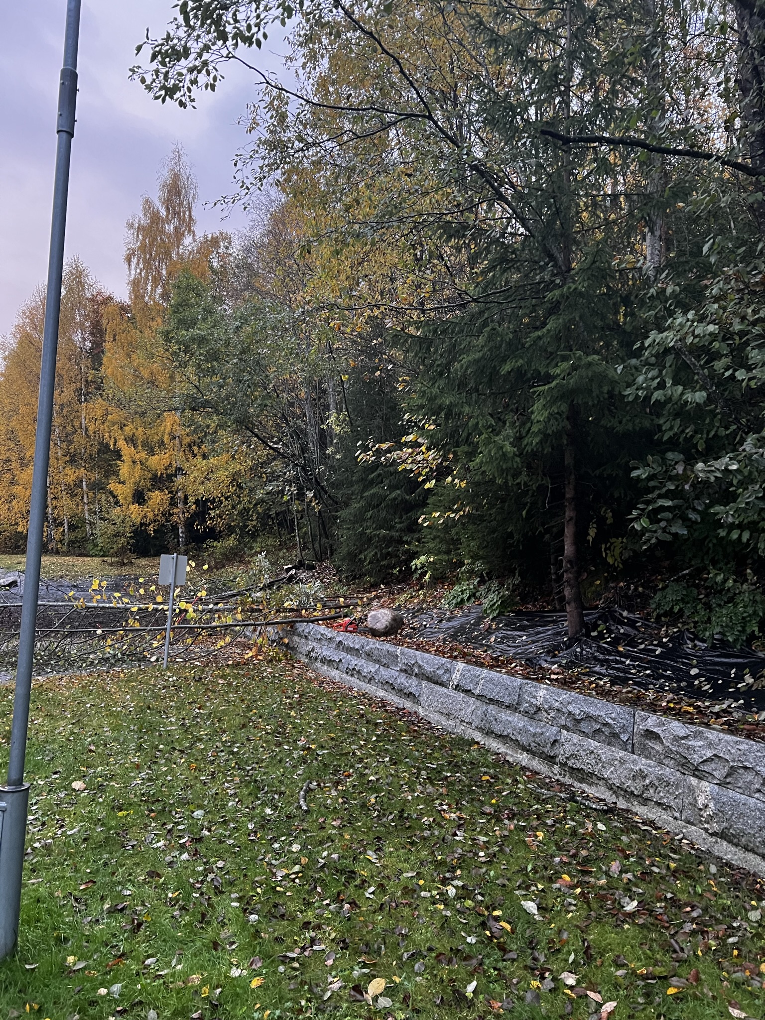 Felling og fundament